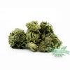 Critical Kush Popcorn (AAA)