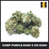 Chief-Purple-Kush-X-OG-Kush