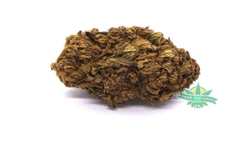 Chocolope