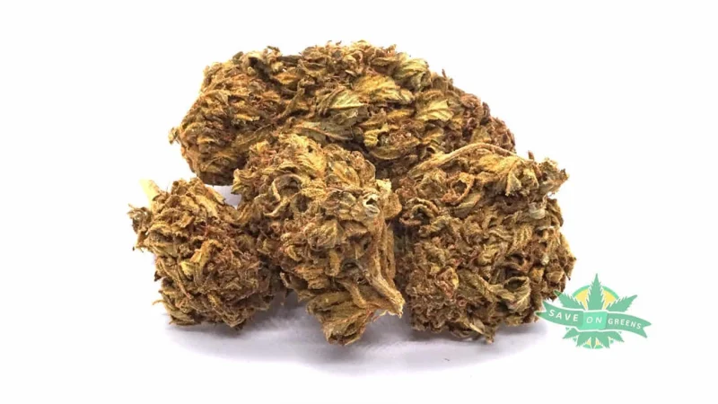 Chocolope (AA)