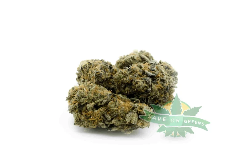 Critical Purple (AAA)