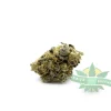 Critical purp