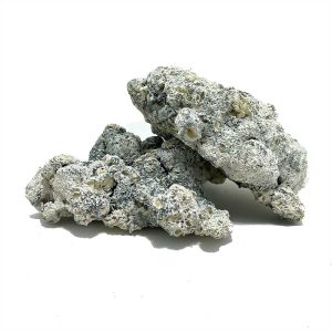 EnigmaSept25Bulk