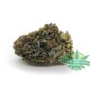 G13