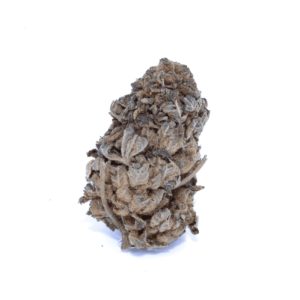 Gelato Mintz Bud