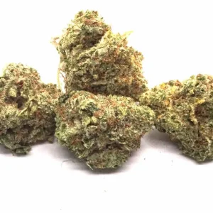 God’s Prime Glue (AAA)