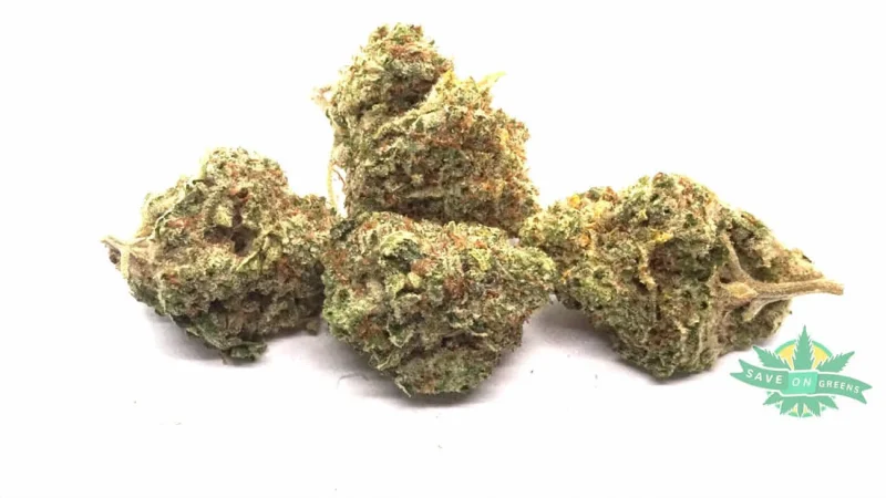 God’s Prime Glue (AAA)