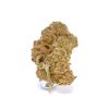 Gorilla Glue