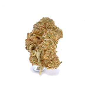 Gorilla Glue
