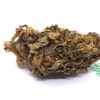 GorillaGlue