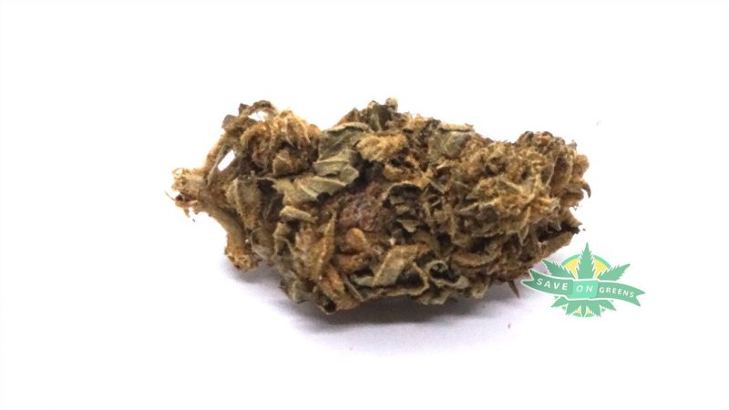 GorillaGlue