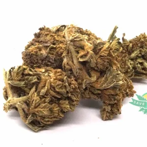 GorillaGlue Bulk