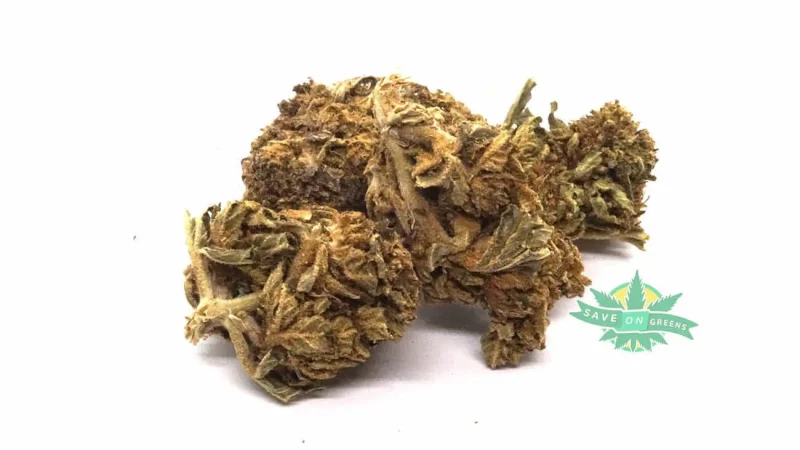 GorillaGlue Bulk
