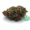 Hashplant