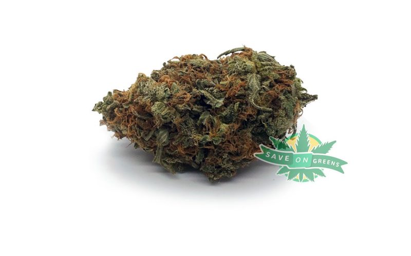 Hashplant