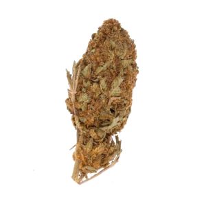 Hindu Kush