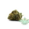 Honey Badger Haze Single 1