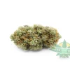 JET Fuel 1