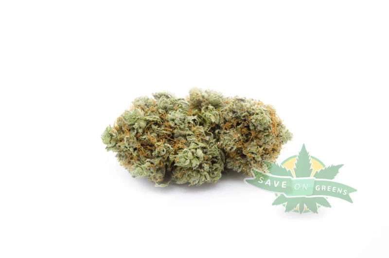 JET Fuel 1