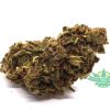Jamaican 1