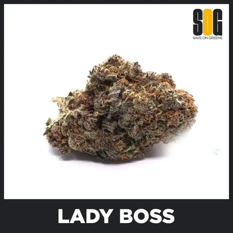Lady Boss AAAA