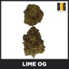 LIME-OG