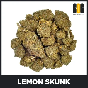Lemon-Skunk