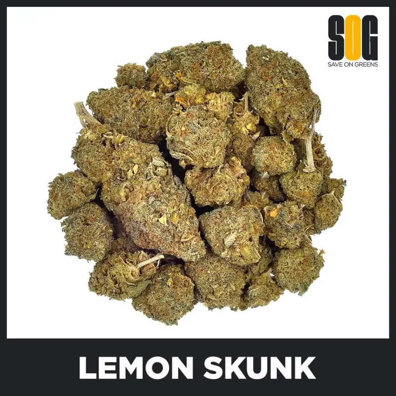 Lemon-Skunk