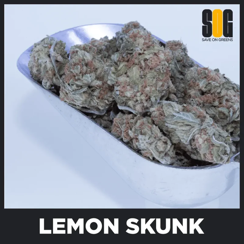 Lemon Skunk - hybrid cannabis strain