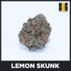 Lemon Skunk