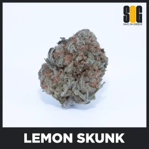 Lemon Skunk