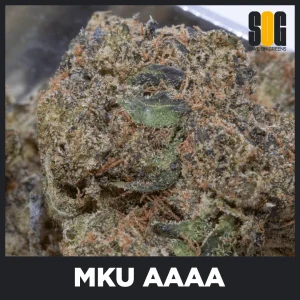 MKU (AAAA)