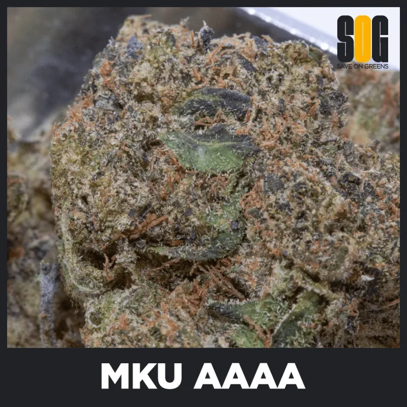 MKU (AAAA)