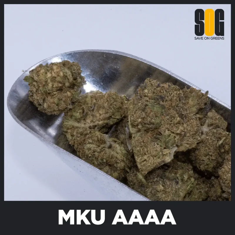 MKU (AAAA)