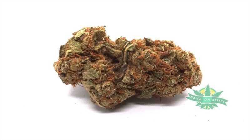 Mango 1
