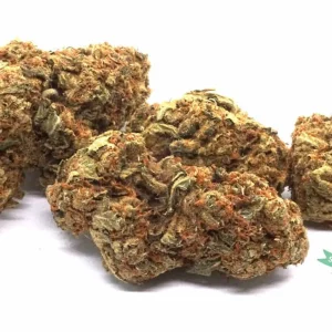 Mango Bulk