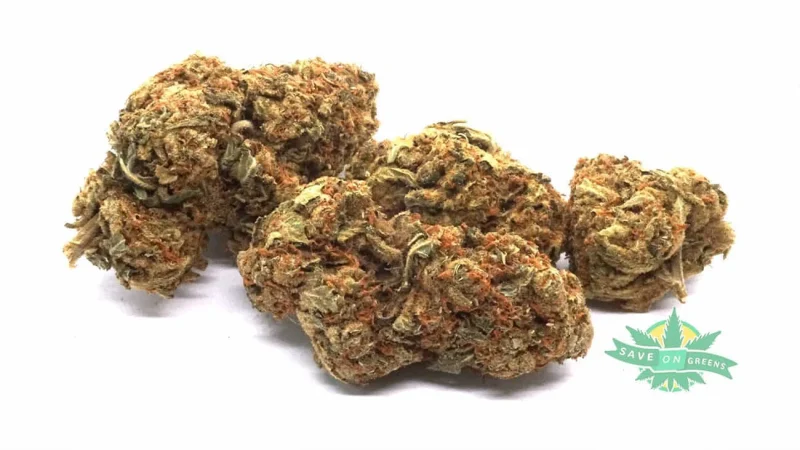 Mango Bulk