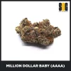 Million-Dollar-Baby-(AAAA)