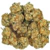 Miracle Alien Cookies