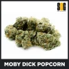 Moby-Dick-Popcorn