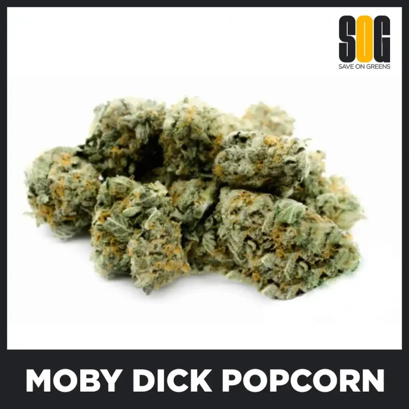 Moby-Dick-Popcorn