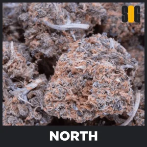 North Kush (AA)
