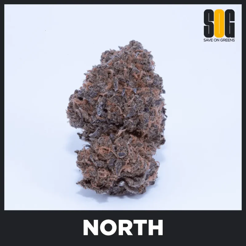 North Kush