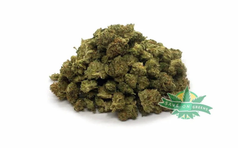 Northern Lights