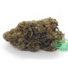 Nuken 1