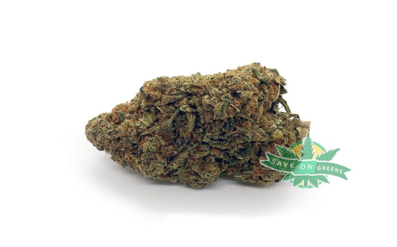Nuken 1