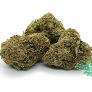 Nuken aa bulk