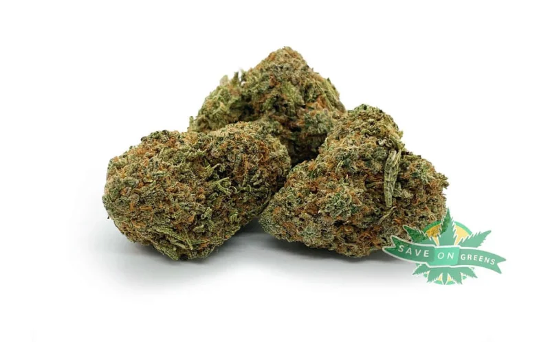 Nuken aa bulk