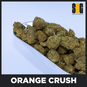 Orange Crush