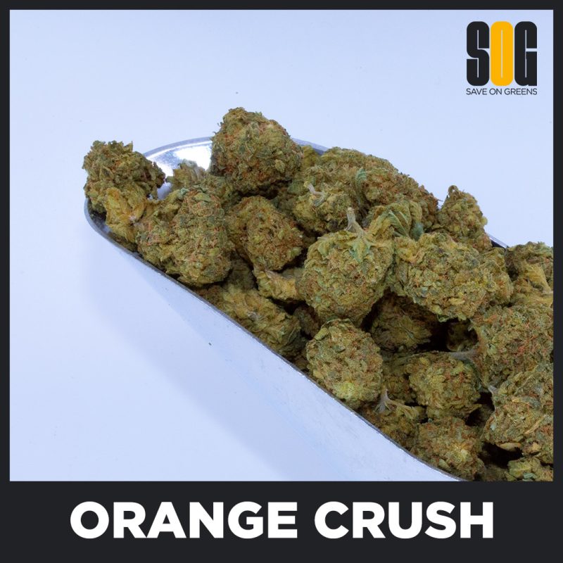 Orange Crush
